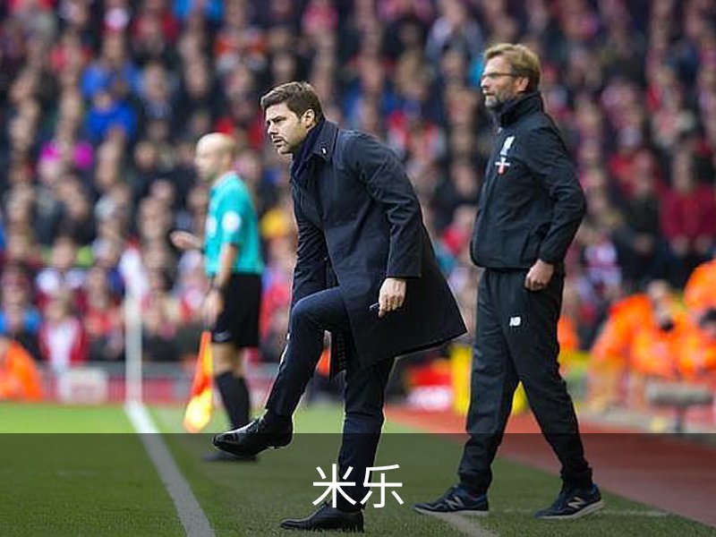 走进米乐